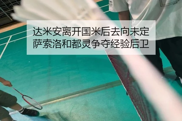 达米安离开国米后去向未定 萨索洛和都灵争夺经验后卫